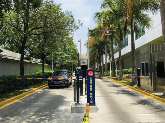 6.webp.jpg 6.webp.jpg